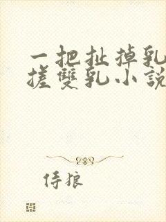 一把扯掉乳罩揉搓双乳小说