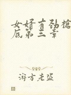 女婿有劲枪枪到底第三章