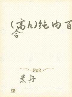 (高h)纯肉百合