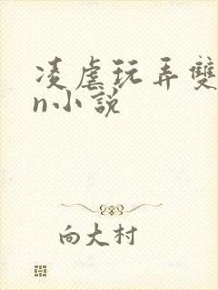 凌虐玩弄双性大n小说