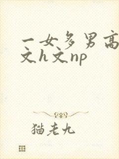 一女多男高辣h文h文np封面