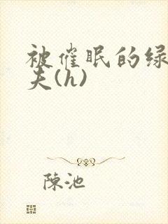 被催眠的绿帽夫夫(h)