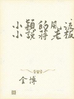 小颖的风流人生小说蒋老板在线阅读免费