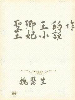 圣卿王的作妖小王妃小说