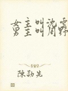 女主叫沈云舒,男主叫周野的小说封面