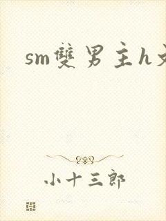 sm双男主h文