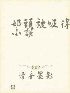 奶头被吸得好爽小说封面