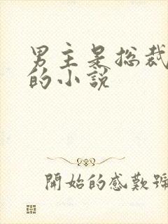 男主是总裁姓盛的小说