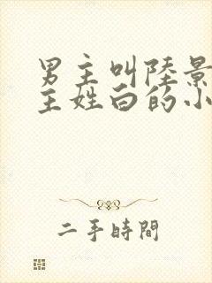 男主叫陆景琛女主姓白的小说