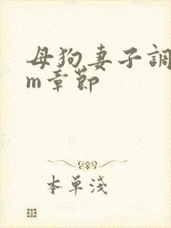 母狗妻子调教sm章节