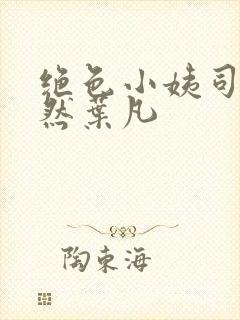 绝色小姨司空嫣然叶凡封面