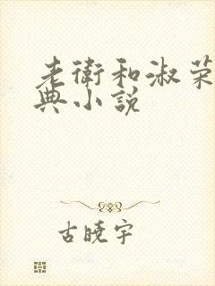 老卫和淑荣的经典小说