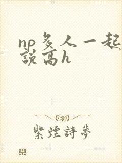 np多人一起小说高h