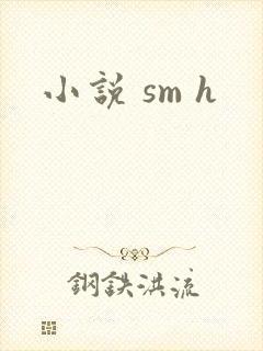 小说 sm h封面