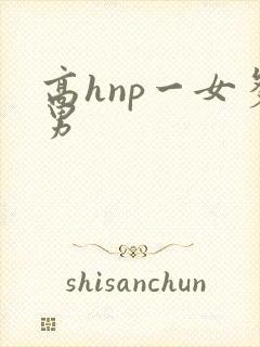 高hnp一女多男