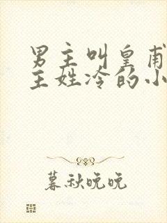 男主叫皇甫绝女主姓冷的小说