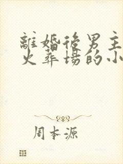 离婚后男主追妻火葬场的小说