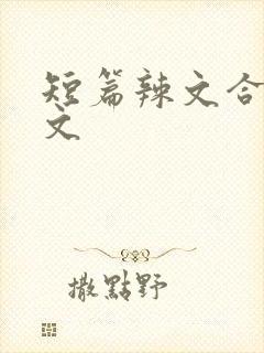 短篇辣文合集h文