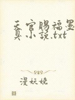 天官赐福墨香铜臭小说.txt
