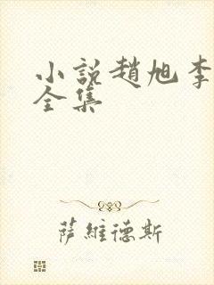 小说赵旭李晴晴全集封面