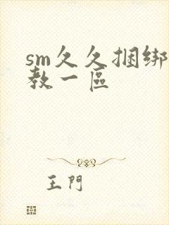 sm久久捆绑调教一区