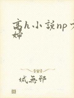 高h小说np少妇