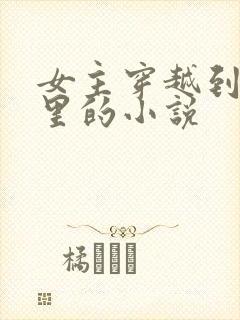 女主穿越到小说里的小说