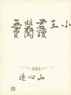 无双君王小说免费阅读