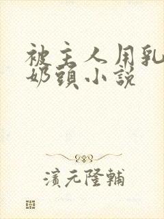 被主人用乳夹玩奶头小说封面