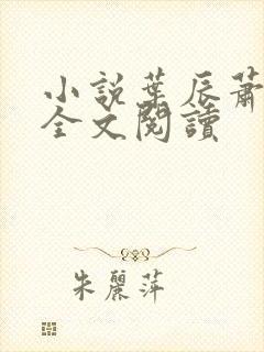 小说叶辰萧初然全文阅读