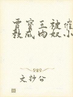 贾宝玉被催眠调教成肉奴小说