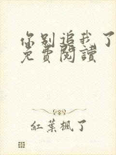 你别追我了小说免费阅读封面