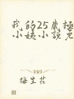 我的25岁极品小姨小说免费阅读封面