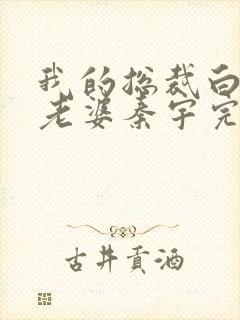 我的总裁白富美老婆秦宇完结