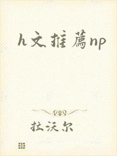 h文推荐np