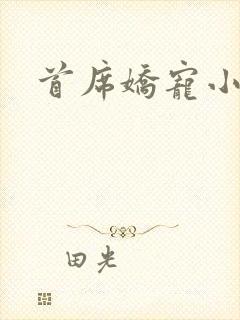 首席娇宠小情人