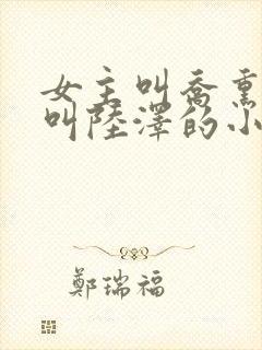 女主叫乔熏男主叫陆泽的小说