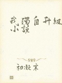 我独自升级原著小说