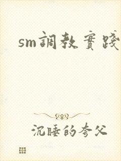 sm调教实践文