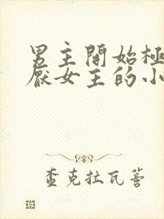 男主开始极度讨厌女主的小说