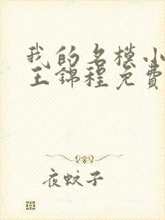 我的名模小娇妻王锦程免费阅读