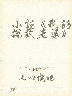 小说《我的冰山总裁老婆》