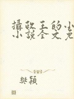 摄政王的小闲妻小说全文免费阅读