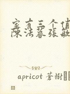 家有三个俏媳妇陈法蓉张敏