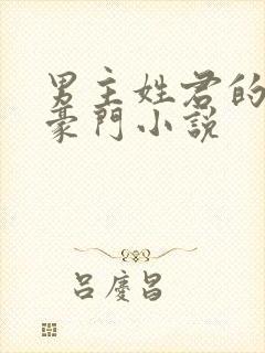 男主姓君的现代豪门小说