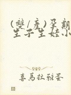 (双/产)孕期生子生娃小说