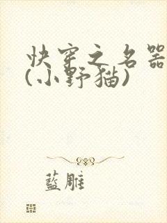 快穿之名器尤物(小野猫)