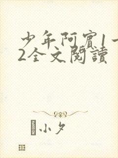 少年阿宾1一72全文阅读