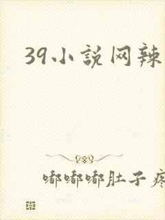 39小说网辣文封面