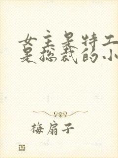 女主是特工男主是总裁的小说